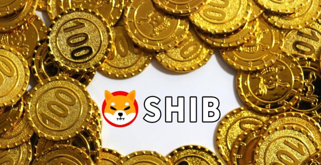 shib币100元赚1.6亿的简单介绍