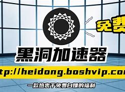 关于黑洞加速器ins免费版的信息