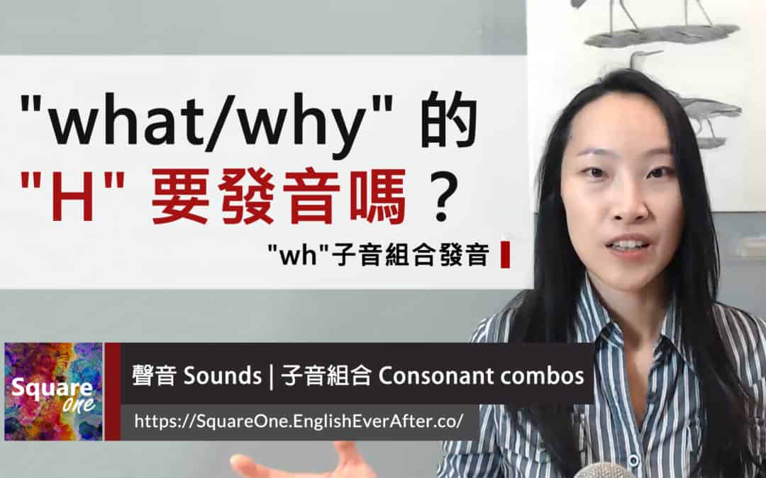 what全球发音-what全球发音在哪个软件上