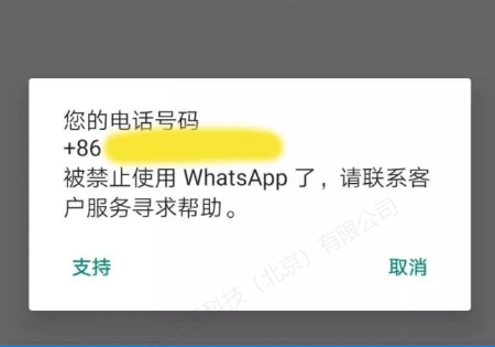 华为手机whatsapp怎么加好友-华为手机whatsapp怎么添加联系人