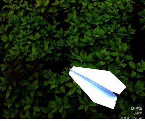 纸飞机如何切换中文版-纸飞机如何切换中文版模式