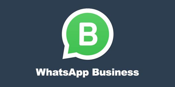 免费下载whatsappbusiness，免费下载whatsapp business