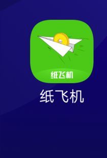 纸飞机app修改为中文，纸飞机软件怎么弄成中文版的