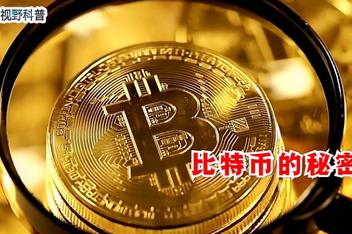 比特币最新消息多少一枚，比特币价格今日行情多少钱一个