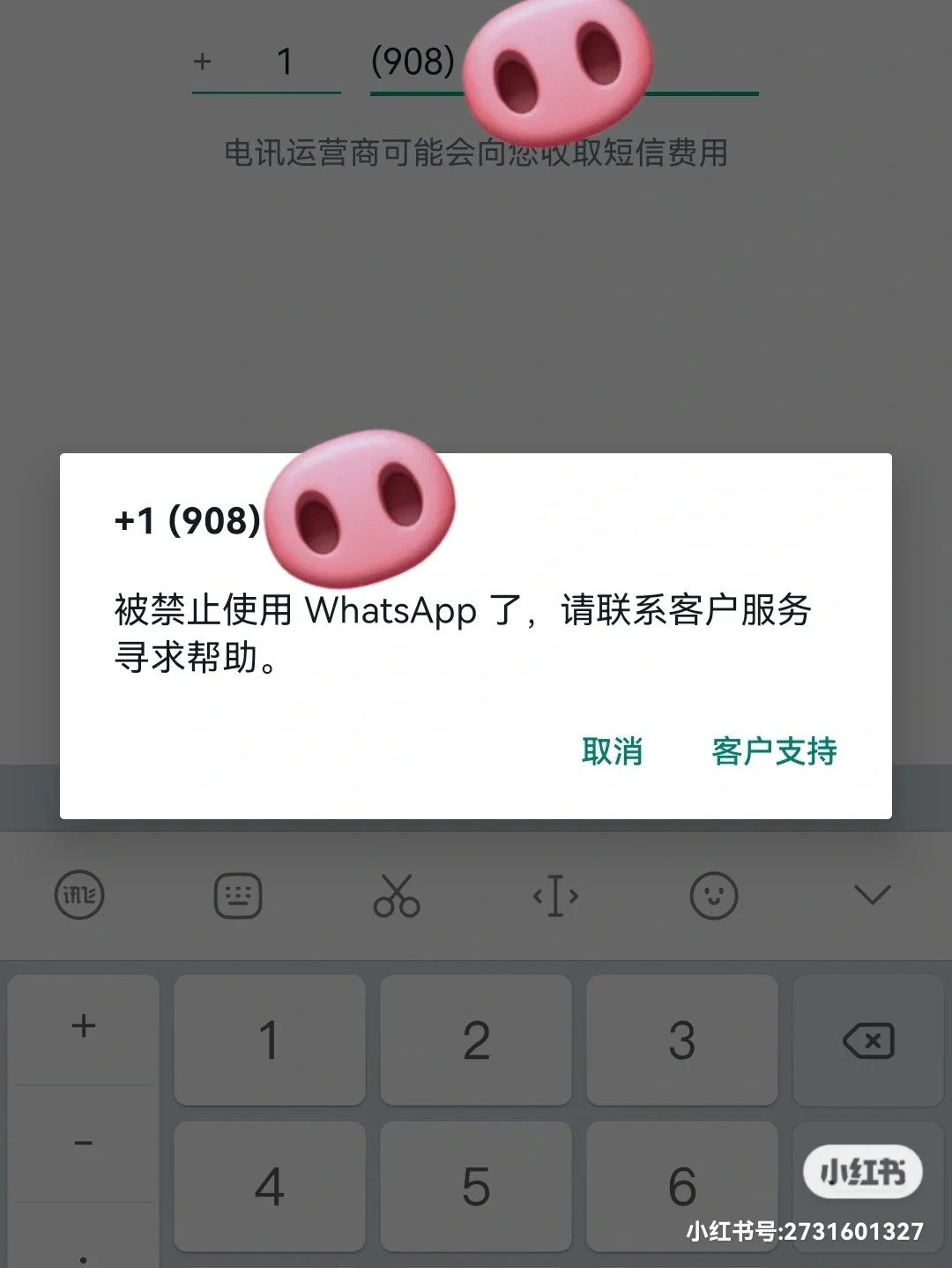 关于whatsappandroid4.4.4的信息