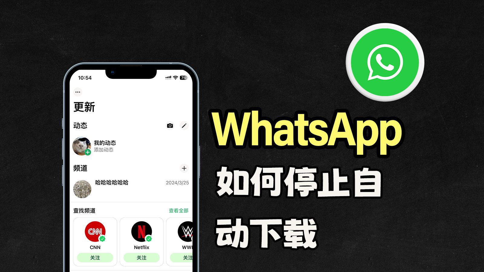 whatsapp苹果怎么下载，苹果手机怎么下whatsapp