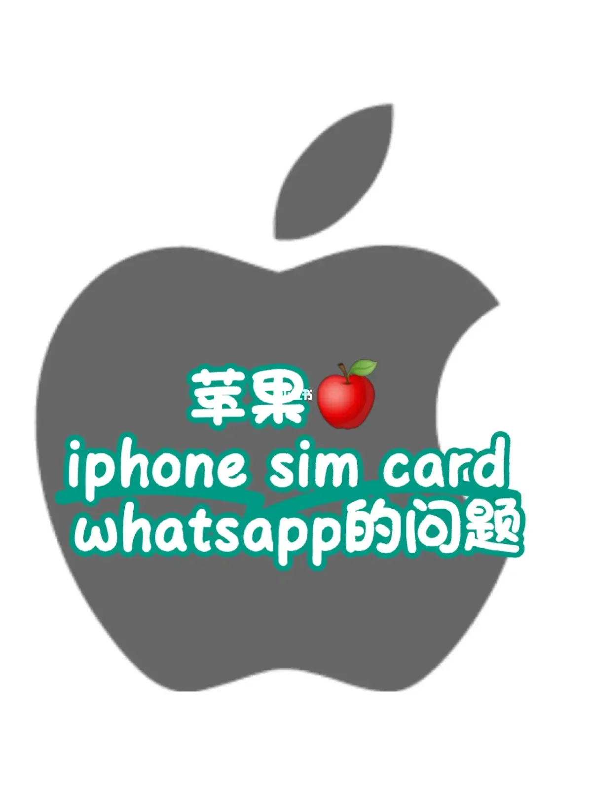 whatsapp苹果能用么，whatsapp苹果手机怎么用