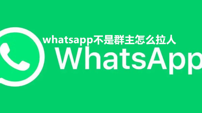 whatsapp添加，whatsapp添加好友教程