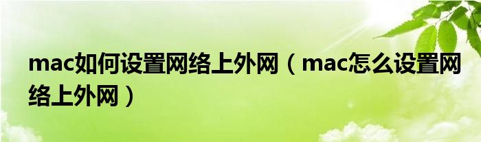 上外网的软件，可以上外网的软件