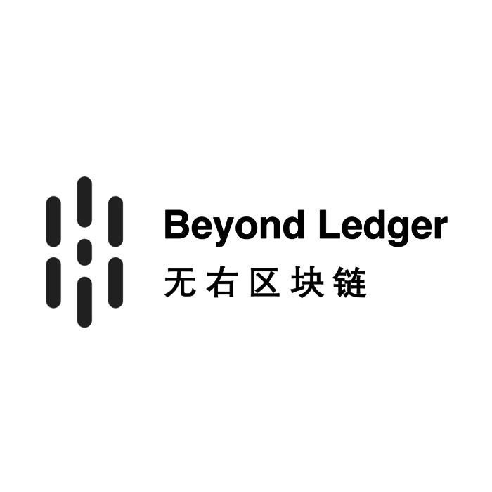 ledger英文，ledger英文解释