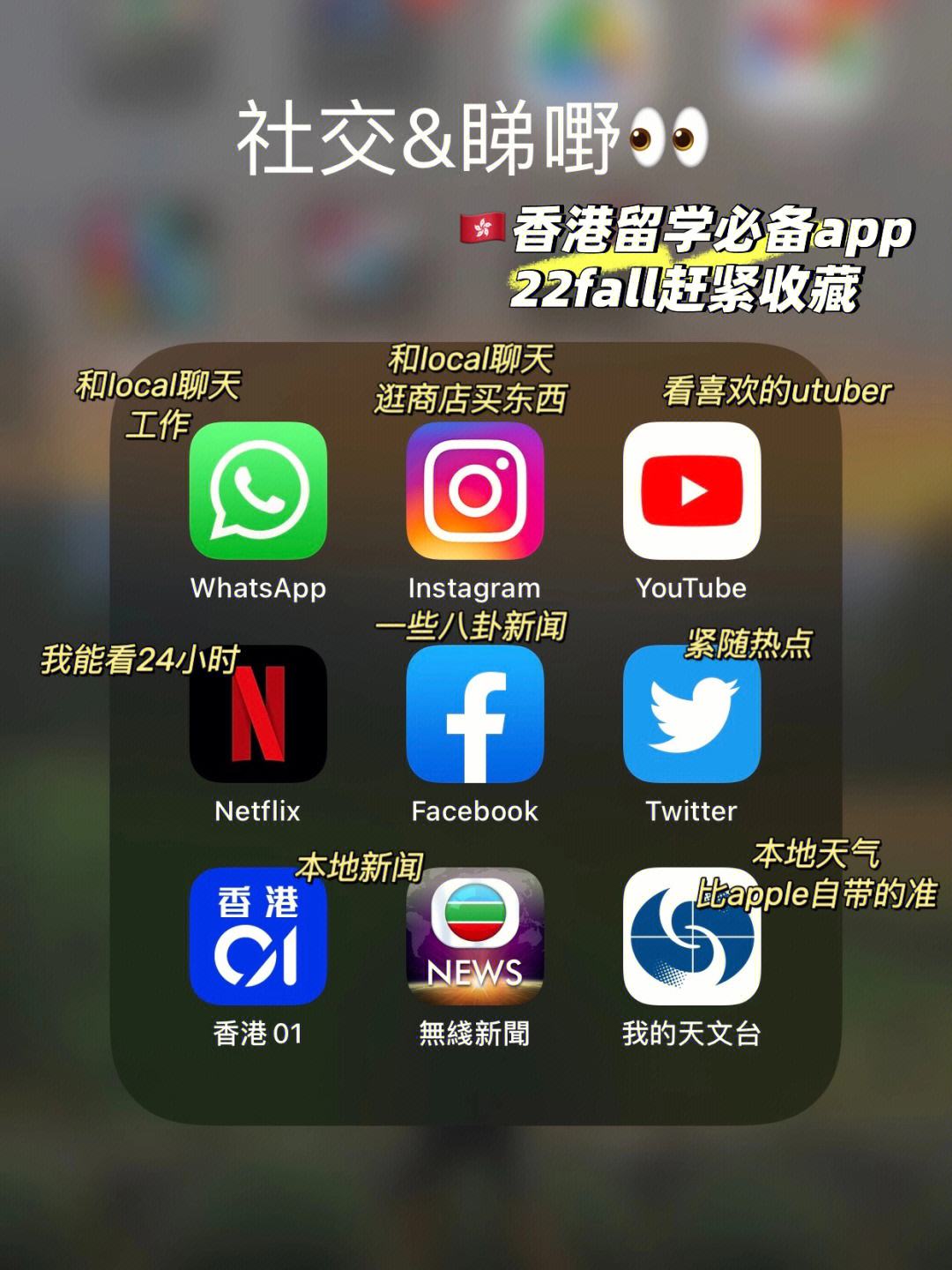 国际聊天软件app，国际聊天软件app有哪些