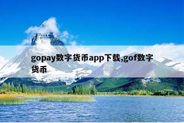 gopay支付平台注册下载，gopay中文版支付平台下载