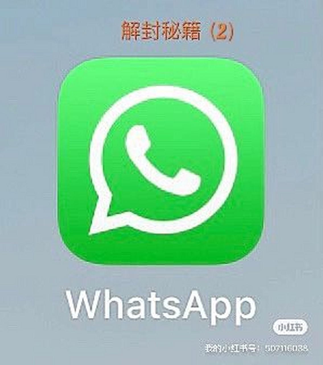 what’sapp下载，whatsapp下载不了