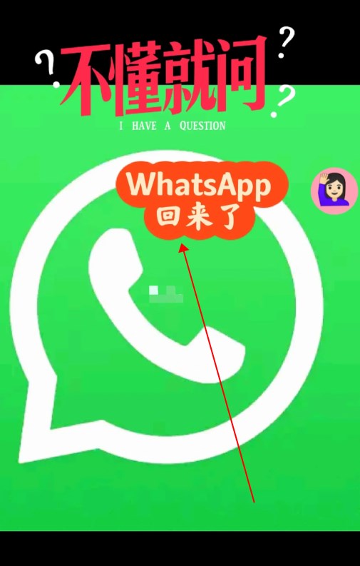 whatsapp官网安卓手机版，whatsapp安卓手机版下载v2