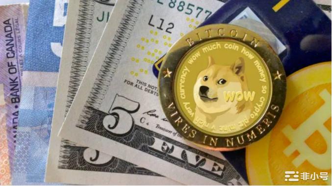 doge币最新消息，doge币最新消息热议