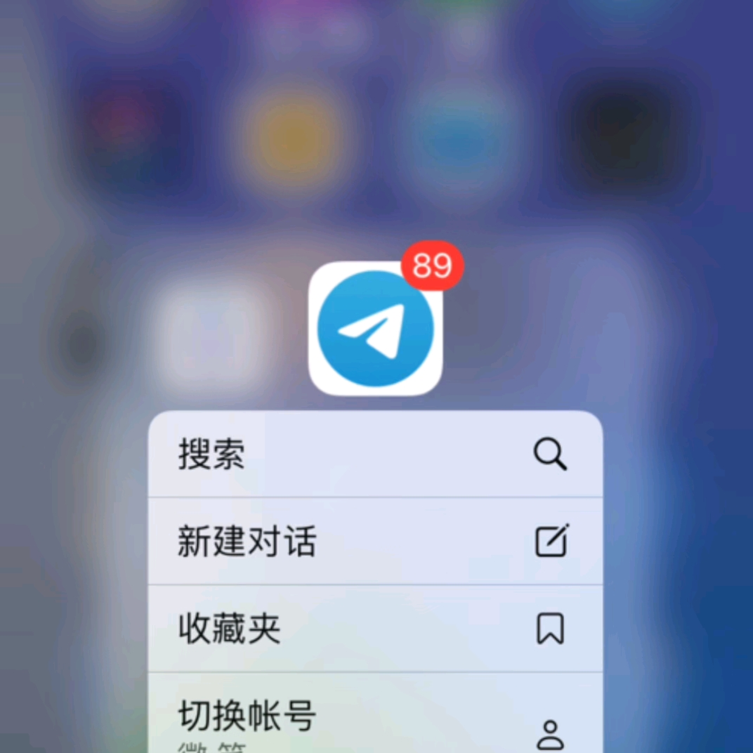 苹果纸飞机怎么改成中文版，ios纸飞机怎么设置中文版