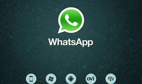 Whatsapp官网注册地址，whatsapp registration