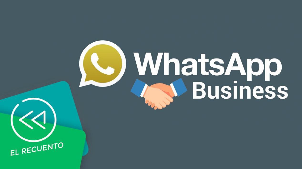 whatsappbusiness最新下载，whatsappbusiness最新版官方网下载