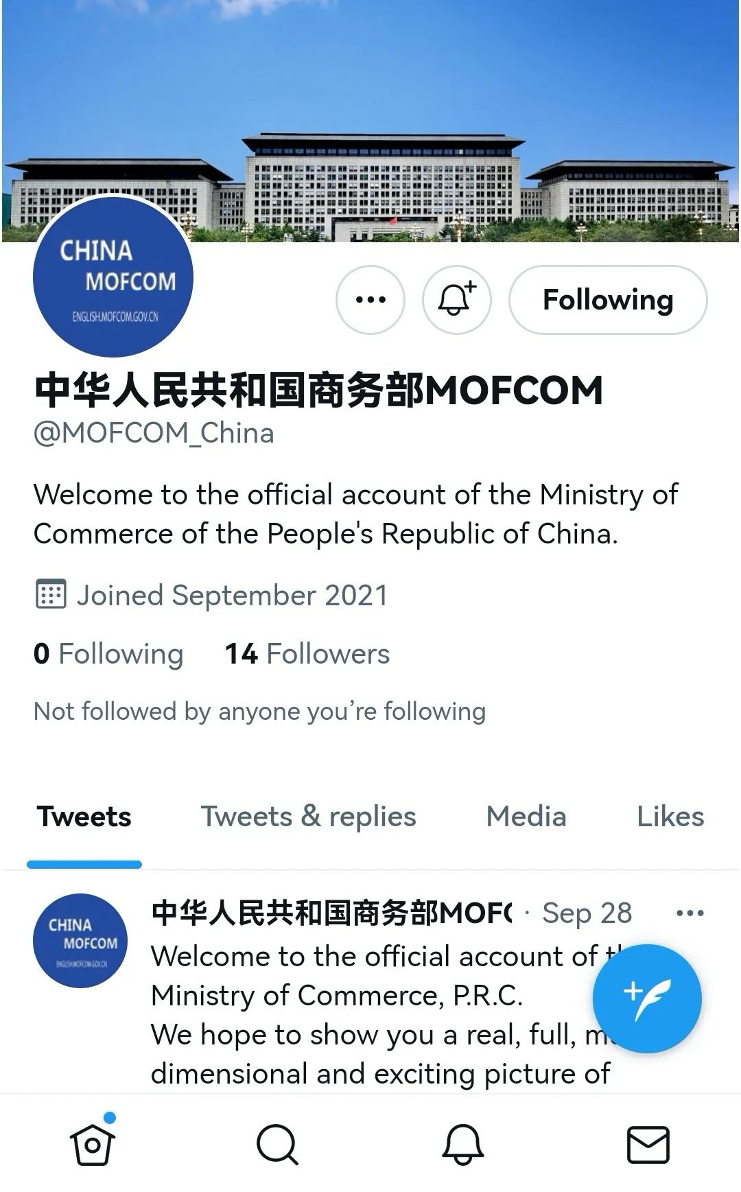 中国版twitter，中国版彷徨之刃免费观看