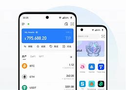 tokenpocket下载，免费入口tiktok无需下载