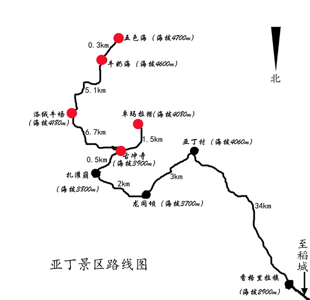 关于上币路线图是什么意思的信息