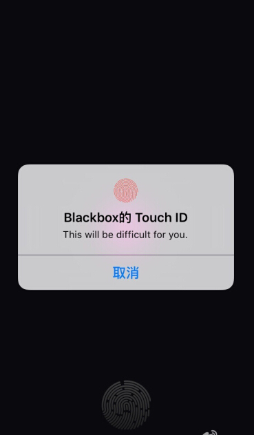 blackbox黑盒下载官方版，blackbox interactive