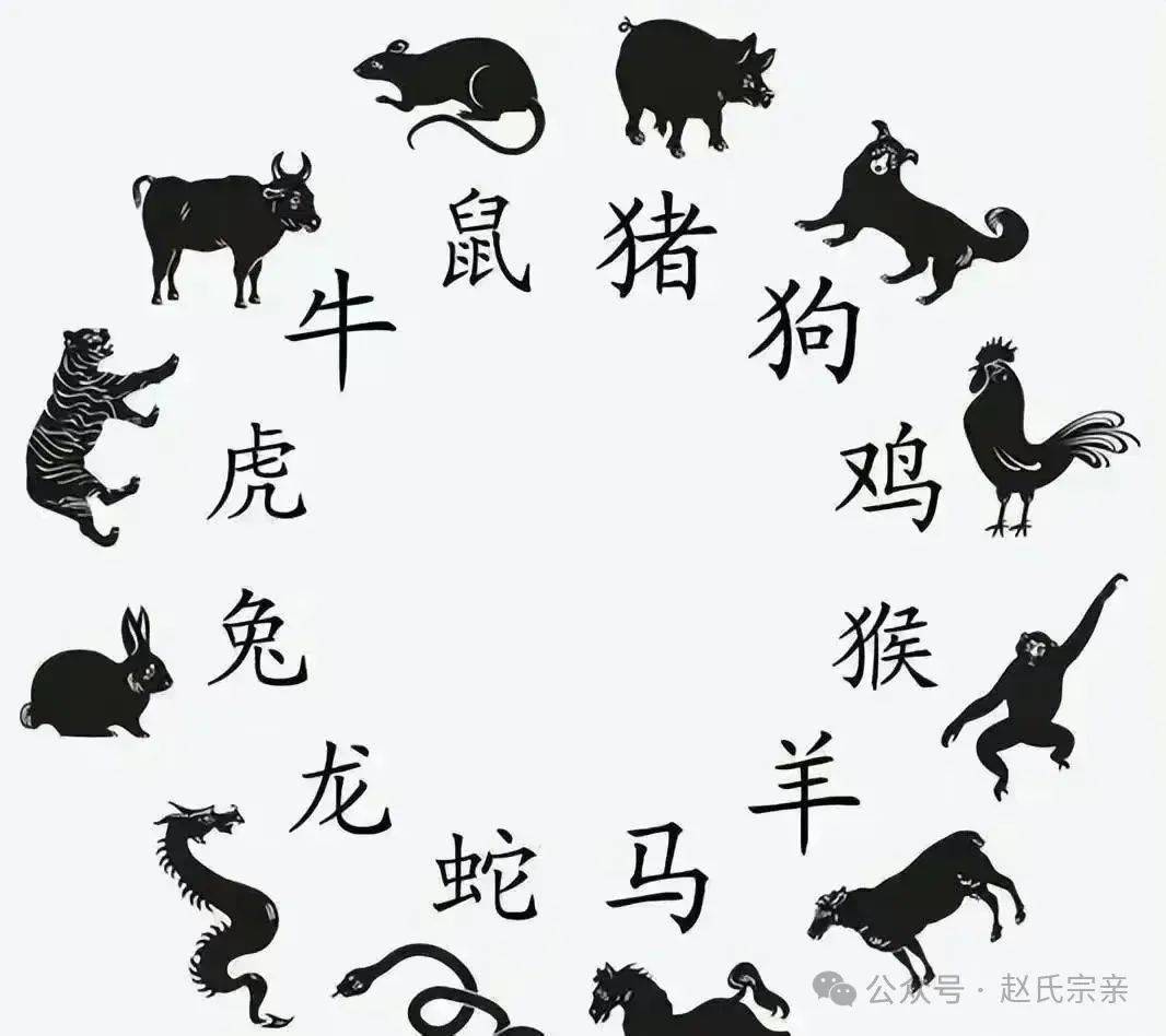 神奇的动物打准确一肖，神奇的动物有哪些?叫什么名字