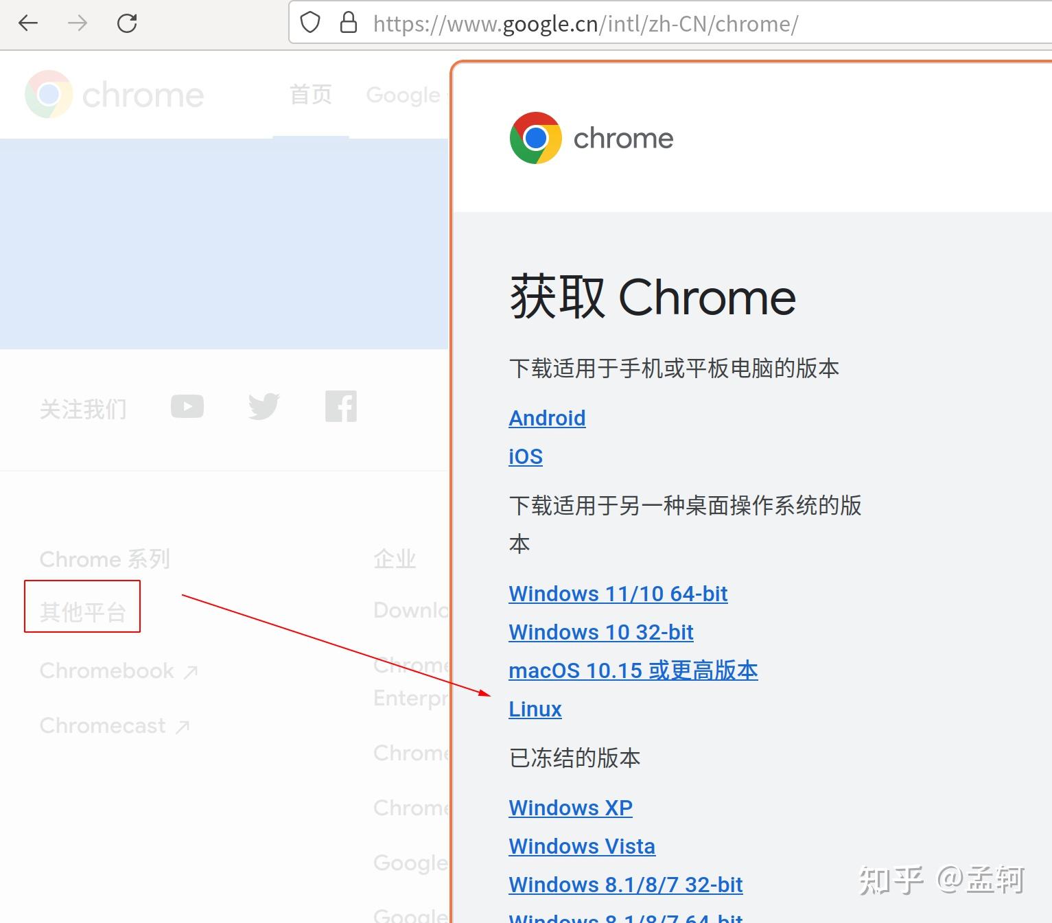 谷歌浏览器最新下载安装，谷歌浏览器最新下载手机版