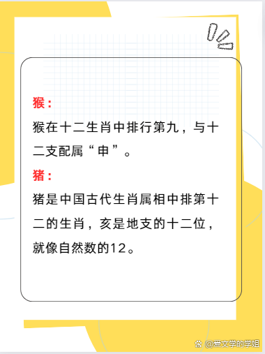 三条蛇仔缠大猪打正确一肖，三条蛇仔缠大猪打一准确生肖