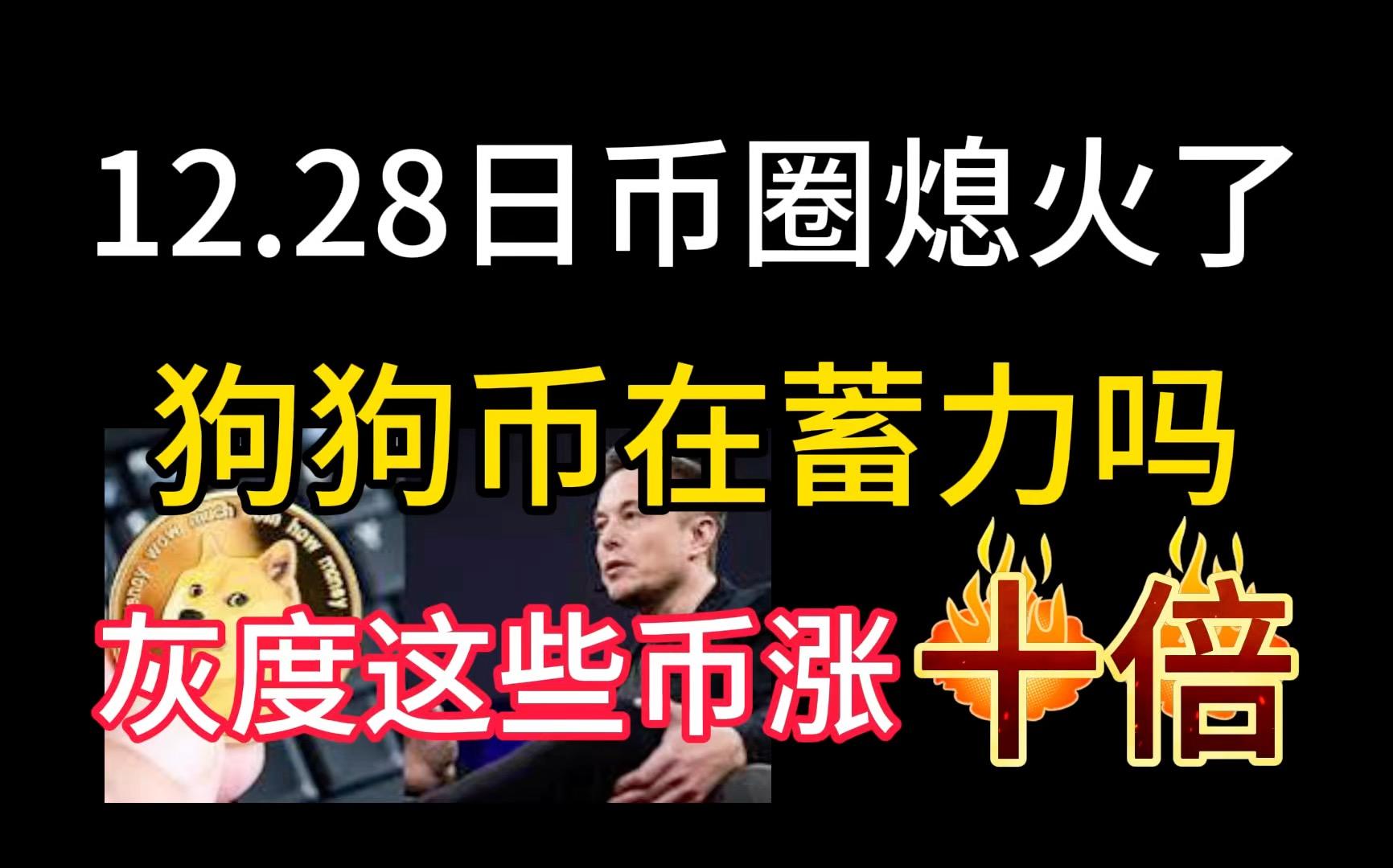 狗狗币涨幅多少倍算大，狗狗币涨幅多少倍算大的