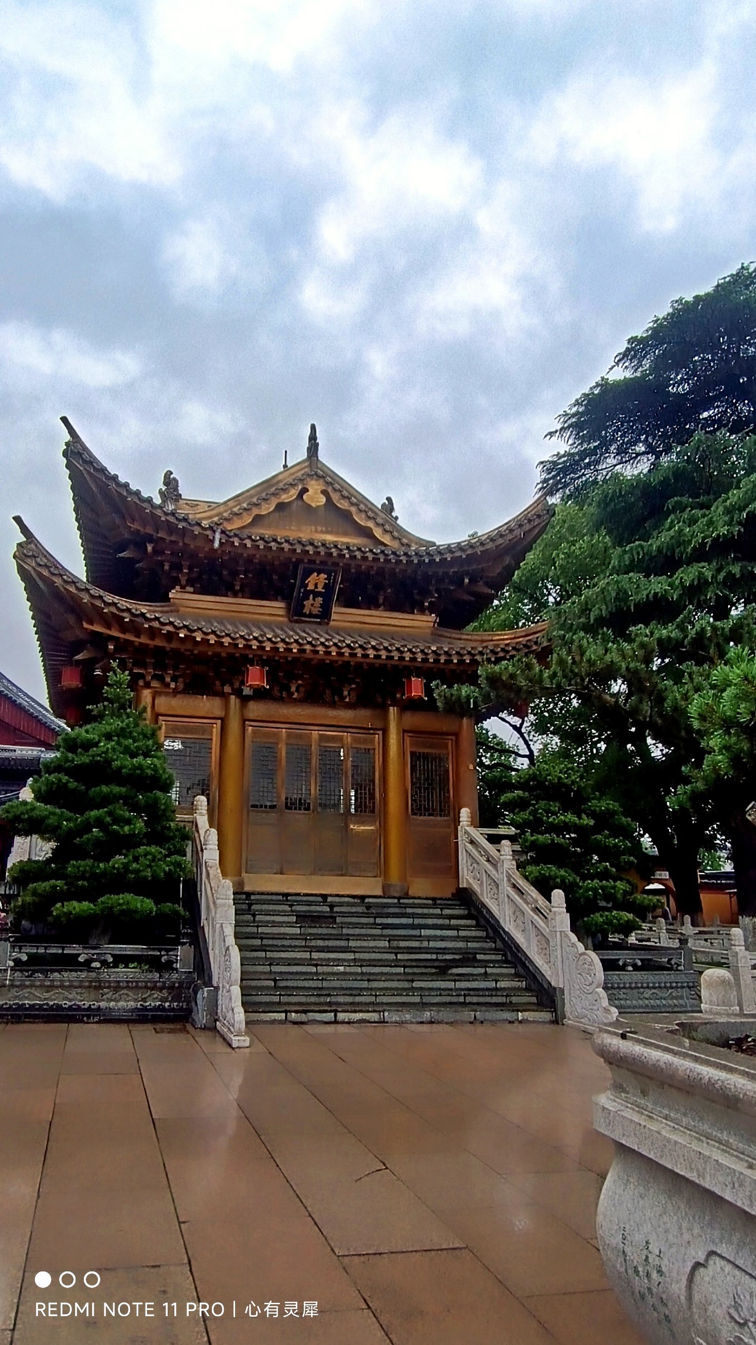 上海金山朱泾今日天气，上海金山朱泾今日天气怎么样