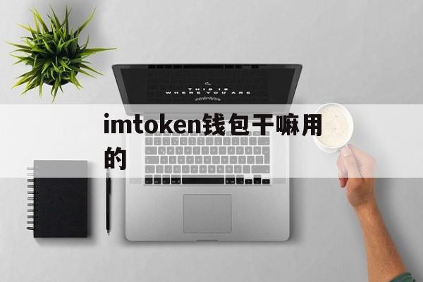 imtoken钱包干嘛用的-imtoken钱包的钱如何变现