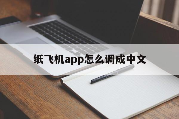 纸飞机app怎么调成中文-纸飞机手机版怎么设置成中文