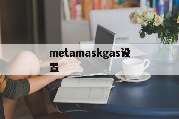 metamaskgas设置-metamask bsc设置