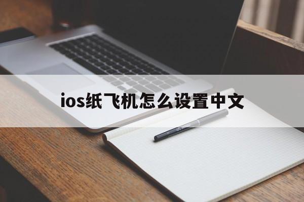 ios纸飞机怎么设置中文-ios纸飞机怎么设置中文版教程