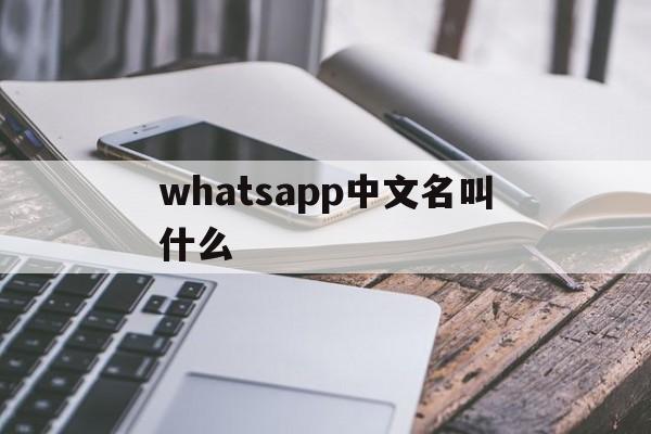 whatsapp中文名叫什么-whatsapp中文叫什么名字