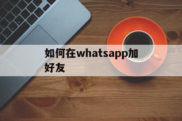 如何在whatsapp加好友-如何用whatsapp添加好友