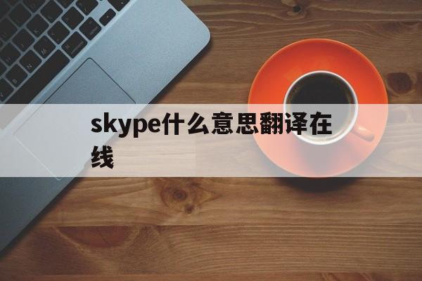 skype什么意思翻译在线-skype翻译成中文是什么意思