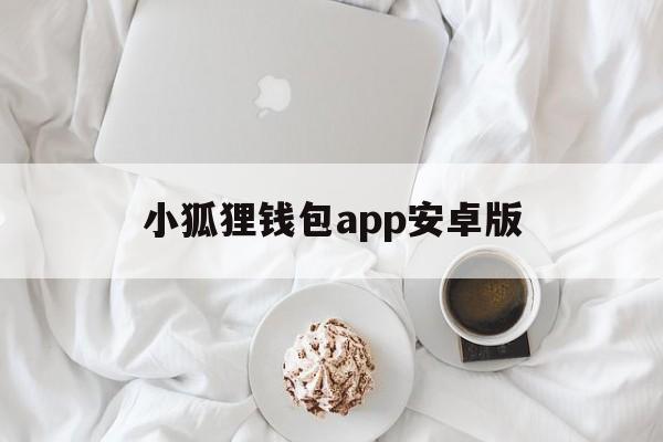 小狐狸钱包app安卓版-小狐狸钱包app使用方法