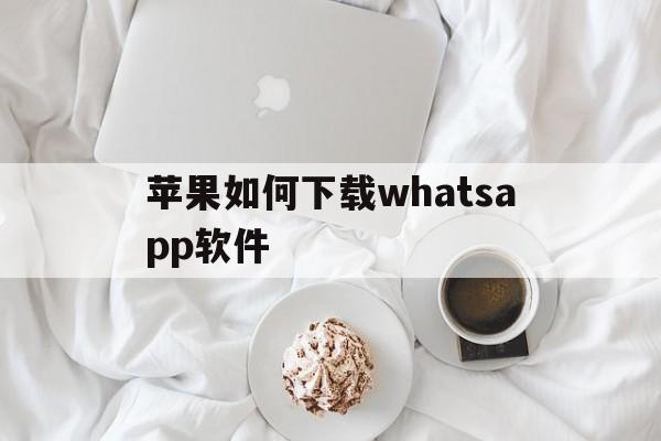 苹果如何下载whatsapp软件-苹果手机怎么下载whats app