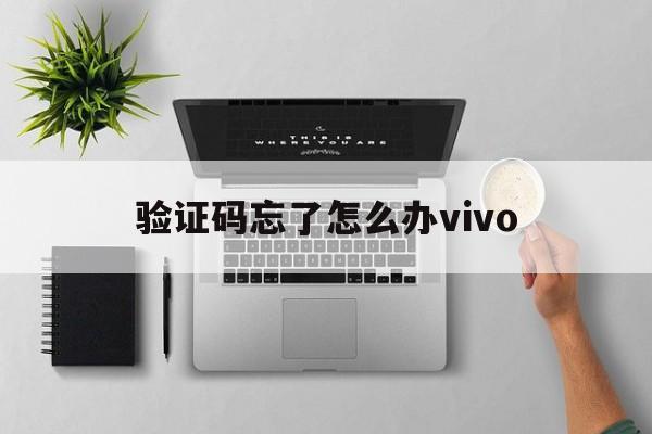 验证码忘了怎么办vivo-vivo手机密码忘了验证码也忘了