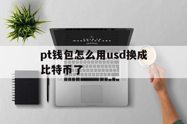 关于pt钱包怎么用usd换成比特币了的信息