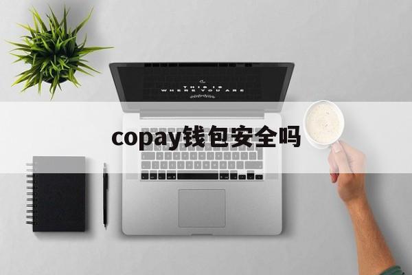 copay钱包安全吗-coinpayments钱包