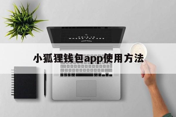 小狐狸钱包app使用方法-小狐狸钱包app使用方法教程