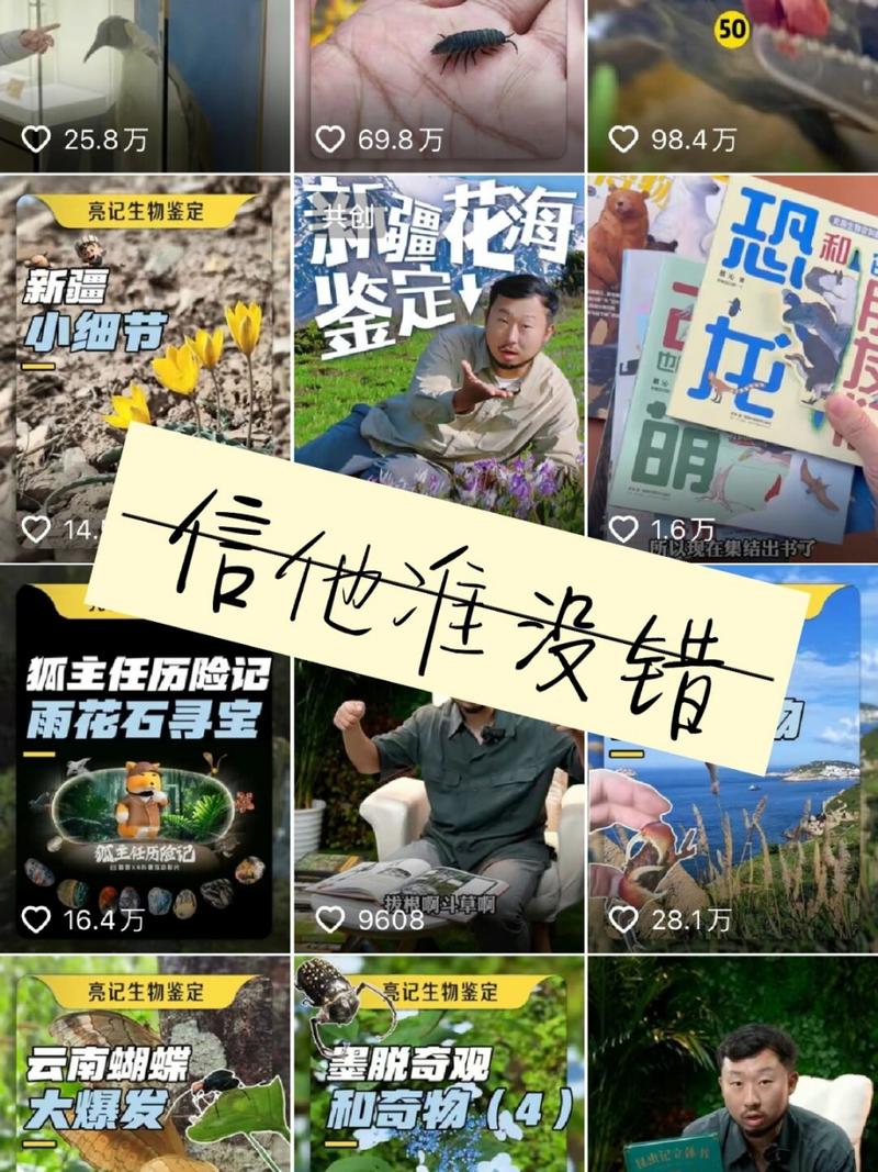 无穷小亮个人简历,无穷小亮的科普视频