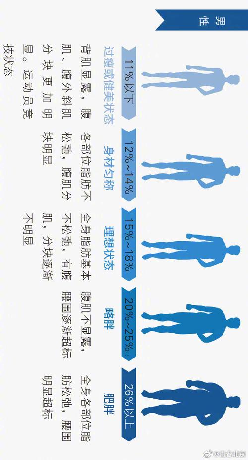 男人为什么到了30岁就变胖,为什么男人过了30岁身体开始发胖