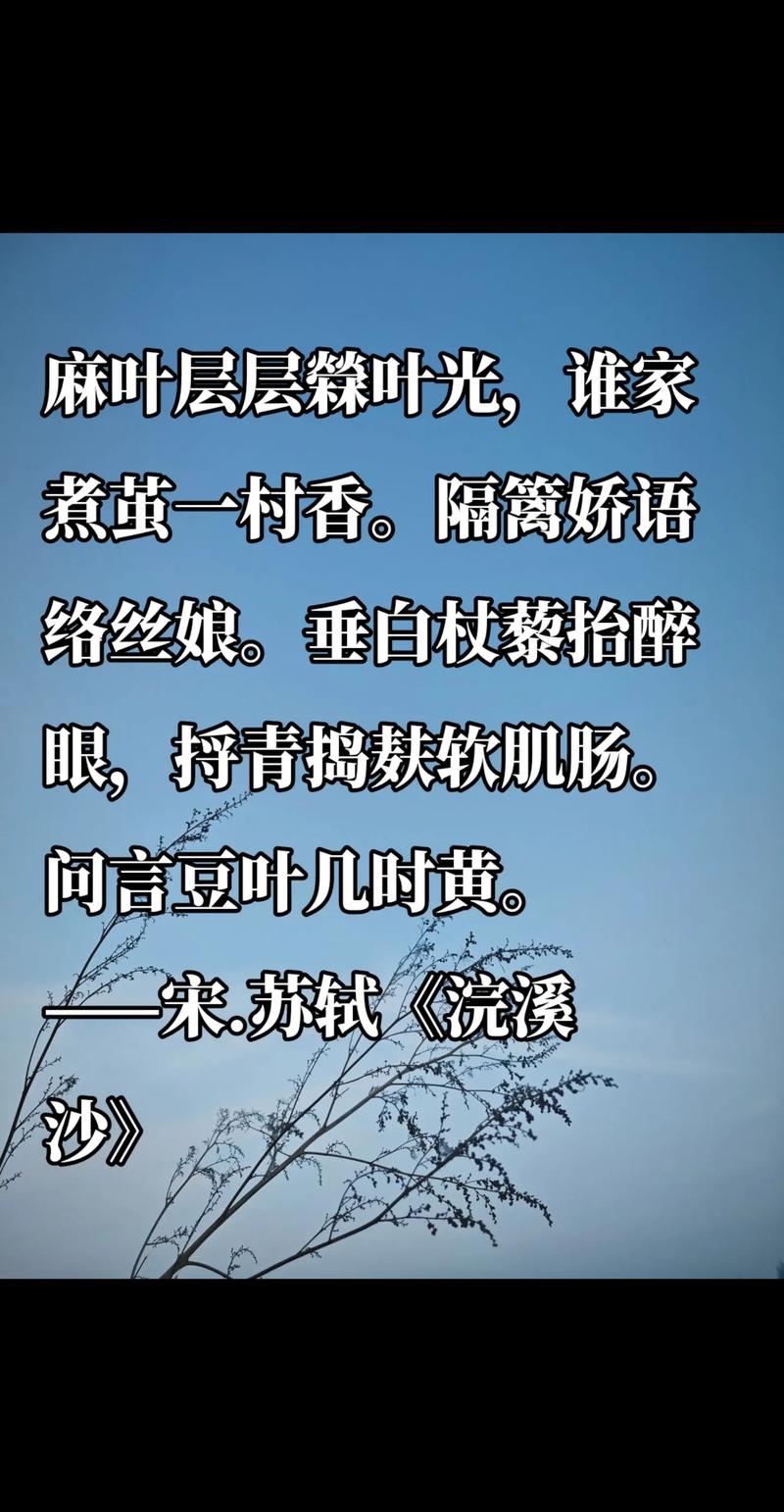 包含何苏叶是哪本小说的中医人物啊的词条