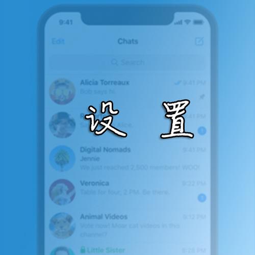 苹果纸飞机怎么登陆教程:苹果纸飞机聊天软件怎么注册