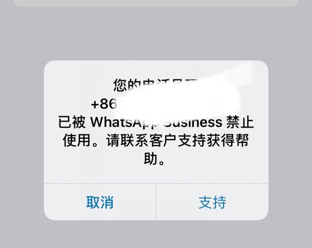 whatsapp被禁止如何恢复:whatsapp被对方封锁了还能发送信息吗