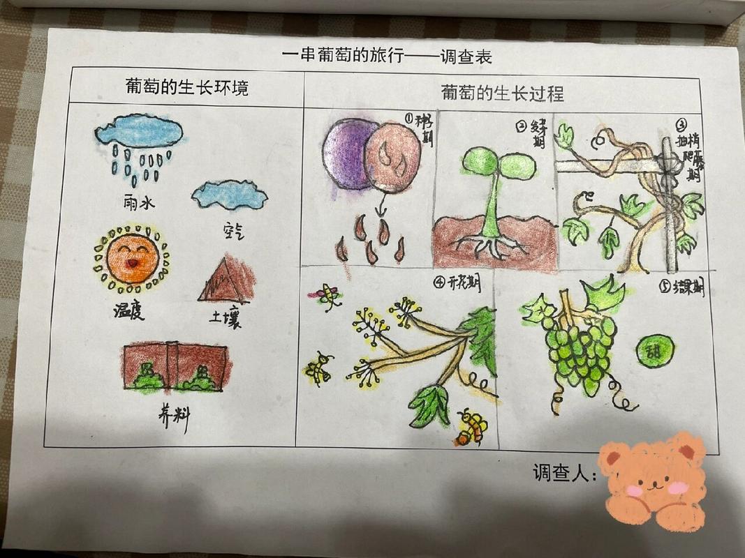 葡萄的生长周期管理技巧详解 | 春季种植关键阶段与收获要点